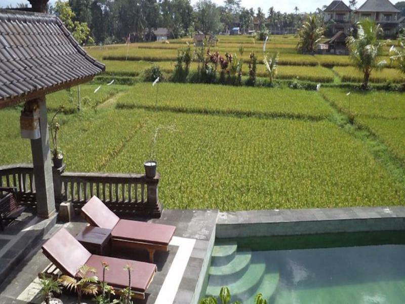 Ala'S Green Lagoon Ubud Dış mekan fotoğraf