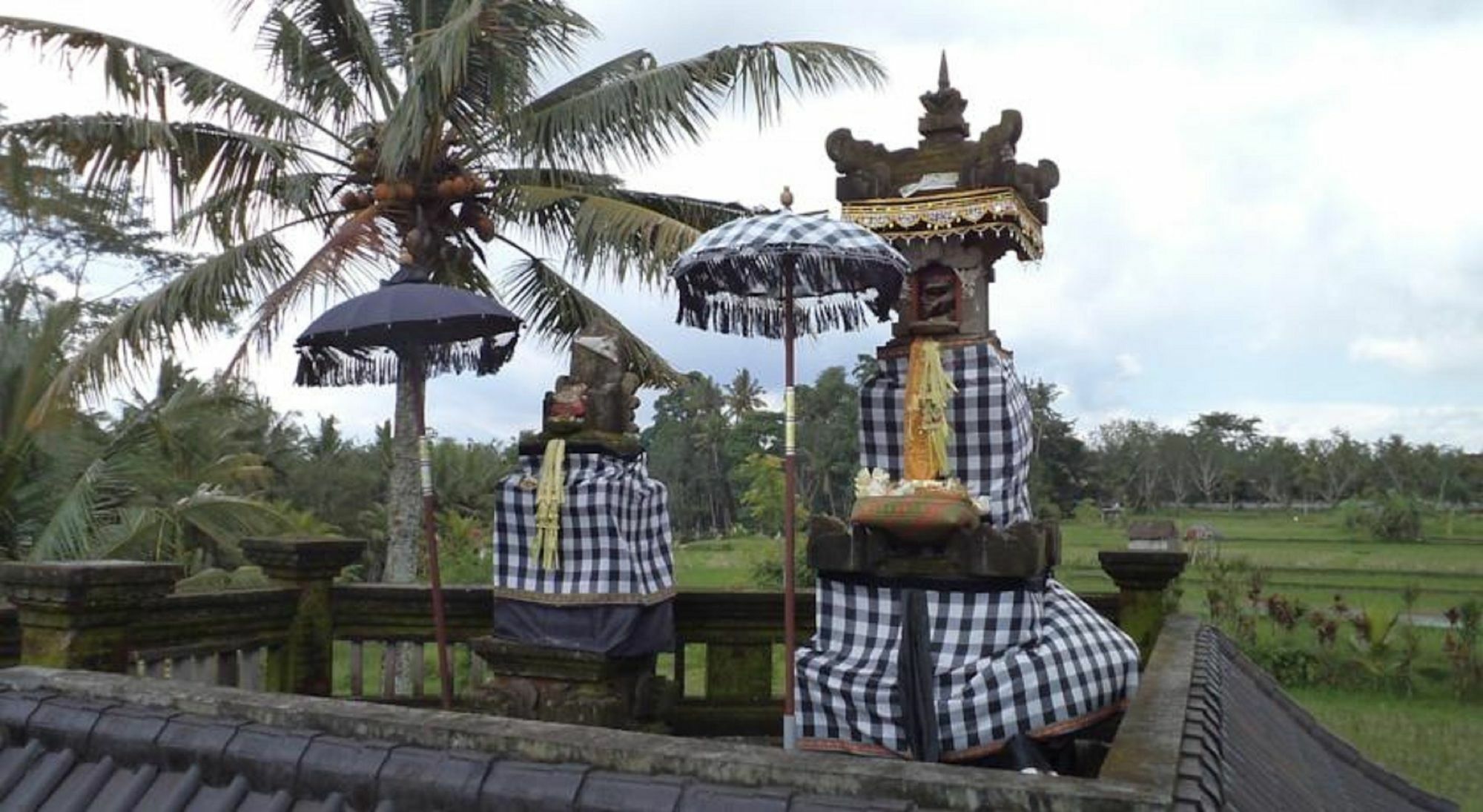 Ala'S Green Lagoon Ubud Dış mekan fotoğraf